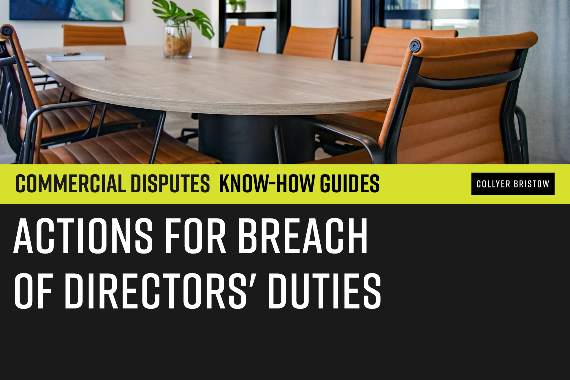 Actions for breach of directors' duties