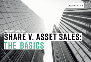 Share v asset sales guide visual