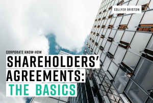 Shareholders' agreement guide visual
